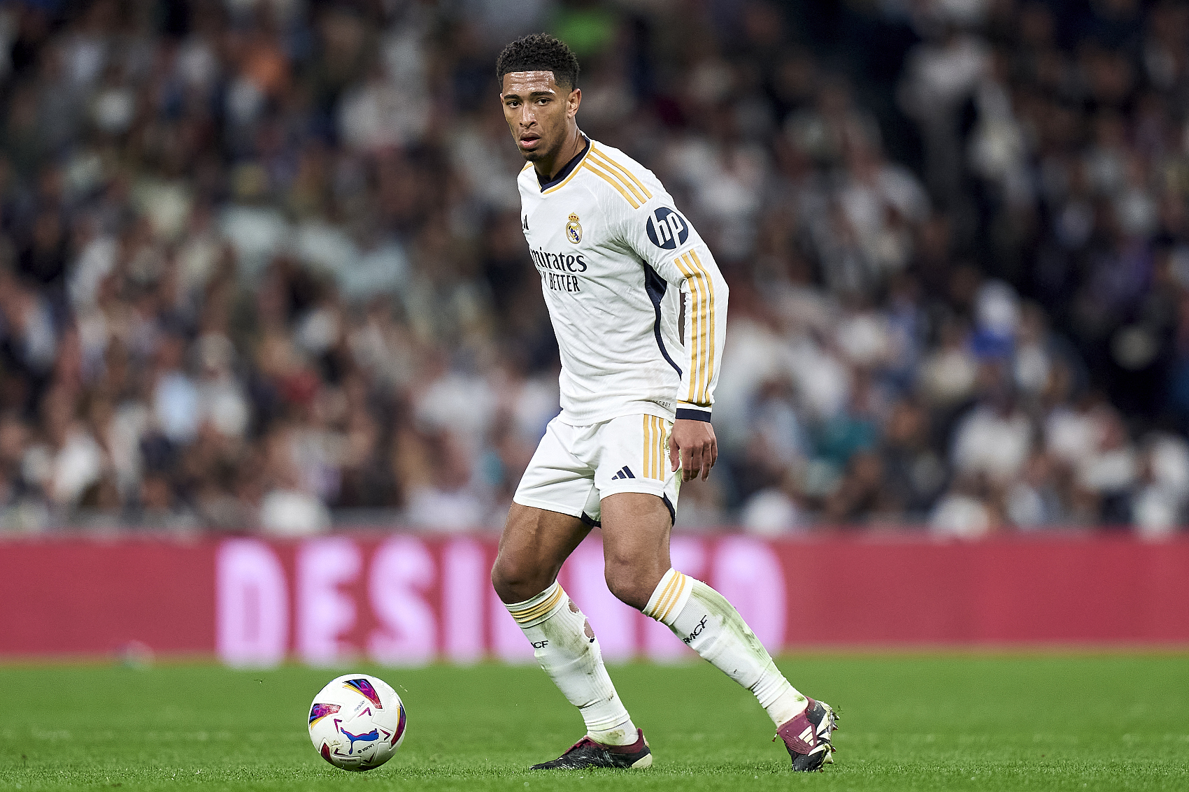 锋线核心亚 锋线核心亚