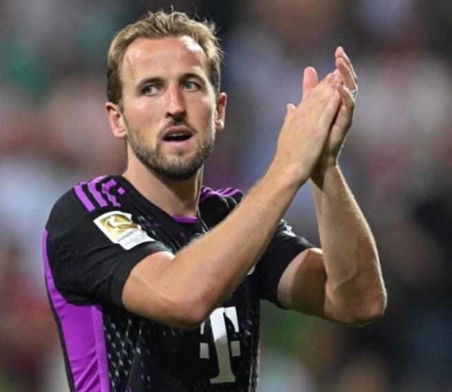 这一评价 这一评价